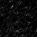 Large Black Marble 1.0m x 2.4m Shower Panel