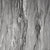 Close-up texture of gray wood grain, natural wooden surface with dark streaks and weathered patterns, detail of timber plank for background or wallpaper.