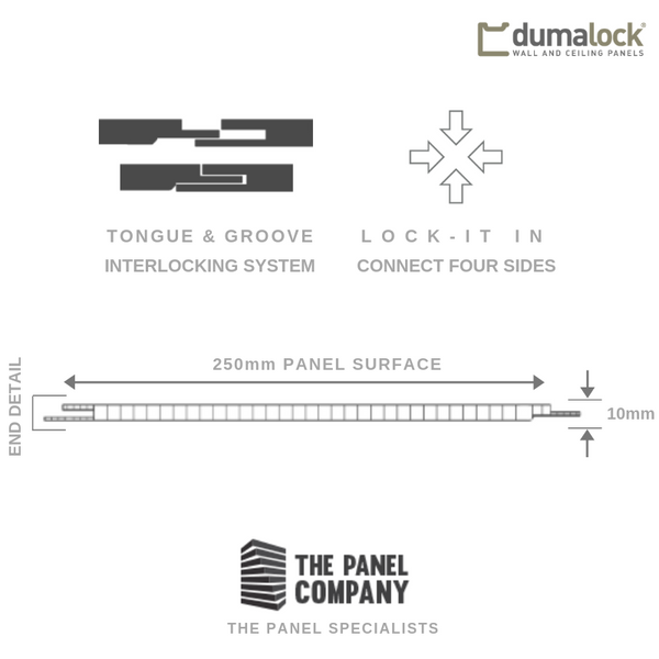 Diagram illustrating the Dumalock tongue and groove interlocking system for wall and ceiling panels, with labeled parts showing the mechanism to connect four sides, end detail of a 250mm panel surface, and a 10mm measurement for panel thickness, along with The Panel Company logo as the panel specialists.