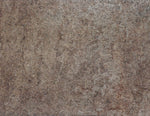 Close-up texture of a brown grunge surface with speckled patterns and rough finish suitable for background or wallpaper use.