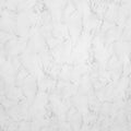 Large Carrara Marble Gloss 1.0m x 2.4m Shower Panel