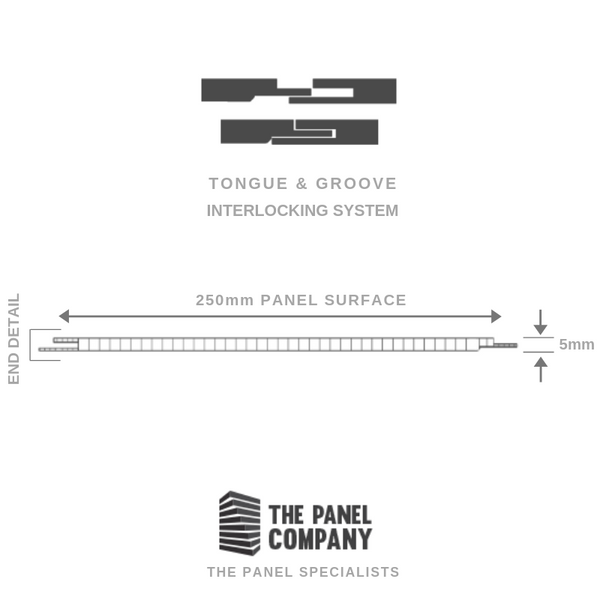 Diagram illustrating tongue and groove interlocking system, 250mm panel surface measurement, 5mm panel thickness detail, logo of The Panel Company, panel specialists.